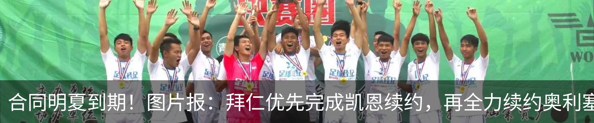 新闻动态
