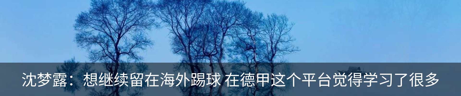 新闻动态