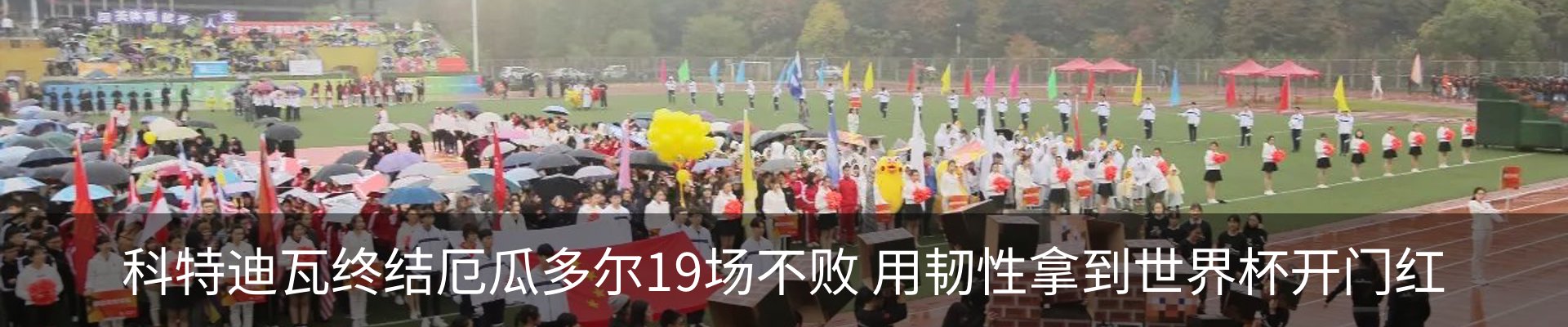 新闻动态